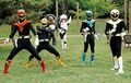 Shadow Jetman