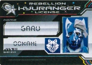 Garu's License