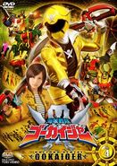 Gokaiger Volume 4, DVD cover