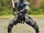 Ninja