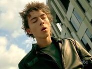 Ziggy 25.jpg (23 KB)