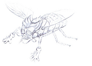 2219A02C-24F6-4B88-BC10-F471BA6467EC.png