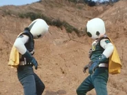 The Two Clover Kings