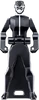 Black Puma Key