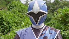 Blue Ranger