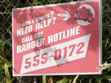 Ranger Hotline