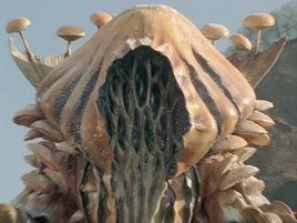 Hades Beast Fungus Profile