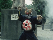 Tanuki Mozoo