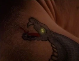 Normal VIEWINGGLOBE-prlr-tcs-0546