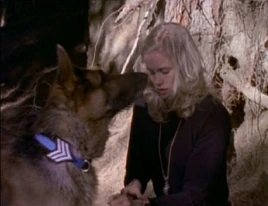 Normal VIEWINGGLOBE-prz-doghashisday-331