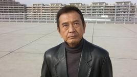 2011 (Gokaiger)