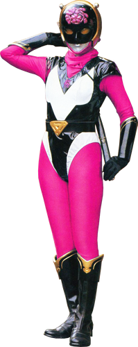 TOKUPINOY on X: The Pink Super Sentai team with Ninja Captor 3 and if you  can include Abare Pink and Akiba Pink made by a fan   / X