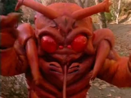 Fighting Flea Profile