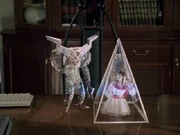 Erika was kidnapped by Hell Heaven in hologram.