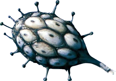 Org Heart | RangerWiki | Fandom