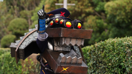 Geta Grumer Profile