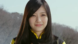 2011 (Gokaiger)