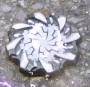 Kabutomushi Tojiru Gear