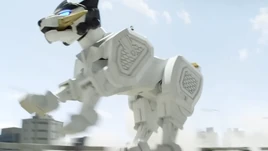Kodiak Zord Profile