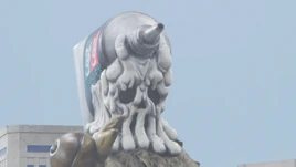 Glue Shellga Profile