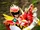 Brave 27: O Matsurincho! Red's Super Evolution