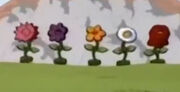 Flower Zords