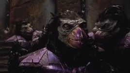 Tengu Warriors Profile