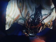 The truth discovered: He is an alien lifeform!