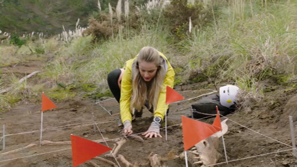 Fossil Frenzy | RangerWiki | Fandom