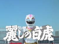 GaoWhite Belle Tiger! GaoWhite!