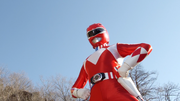 TyrannoRanger (Akibaranger Season Tsuu)