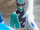 Dino Fury Green Ranger