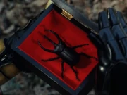 A beetle which was made by Zone to create Kabutogin.