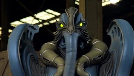 Vacuum Shadow Profile