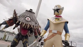 PRSNS - Tough Love