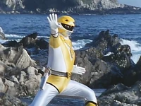 Yellow Owl Yellow Owl!