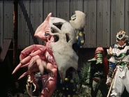 Ikatamagin with an Egg Bomb.