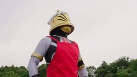 Buster Mocchi Profile