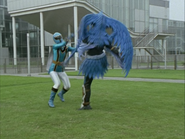 MagiBlue vs Peewee Harpy