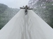 Neries' Stretching Fabrics.jpg (133 KB)