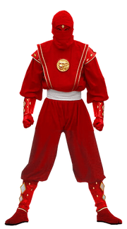 Mmpr-redninja