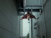 Abrella hanging while waiting Kevakiear's orders