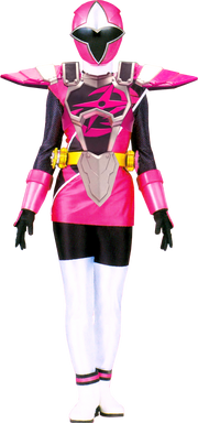 Ninjamaster-pink