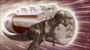 PRDC Pachy Zord