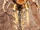 Third Spear, Manmaruba