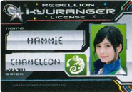Hammie's License