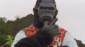 Master Gorrie Yen File:Icon-prjf.png (Juken Sentai Gekiranger)