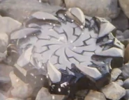 Shougatsu Tojiru Gear