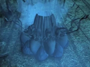 Worm swallows a jogger