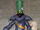 Waryn